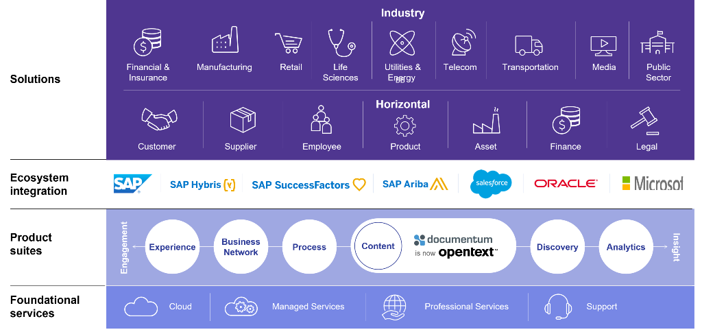 Image that shows ECM Content Service Platform